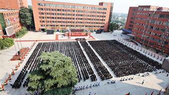 郑州商专吃瓜后续,真相追踪与舆论反思