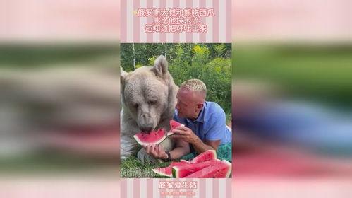 吃瓜熊卡通,趣味横生的卡通世界之旅