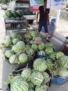 盐山最新吃瓜事件,最新吃瓜事件揭秘，真相令人咋舌