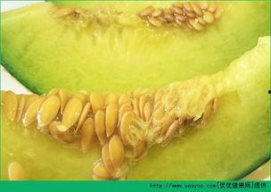 孕妇可以吃哈密瓜月饼吃,孕妇可安心享用的哈密瓜月饼