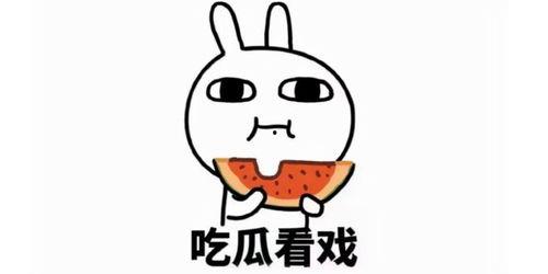 吃瓜卖瓜文案短句图片,卖瓜达人秀创意文案