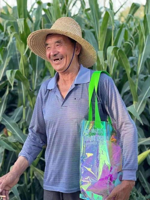 美团吃瓜人,揭秘美食背后的故事与人生百态