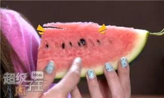 梦吃籽瓜,探寻神秘果实的奇幻之旅